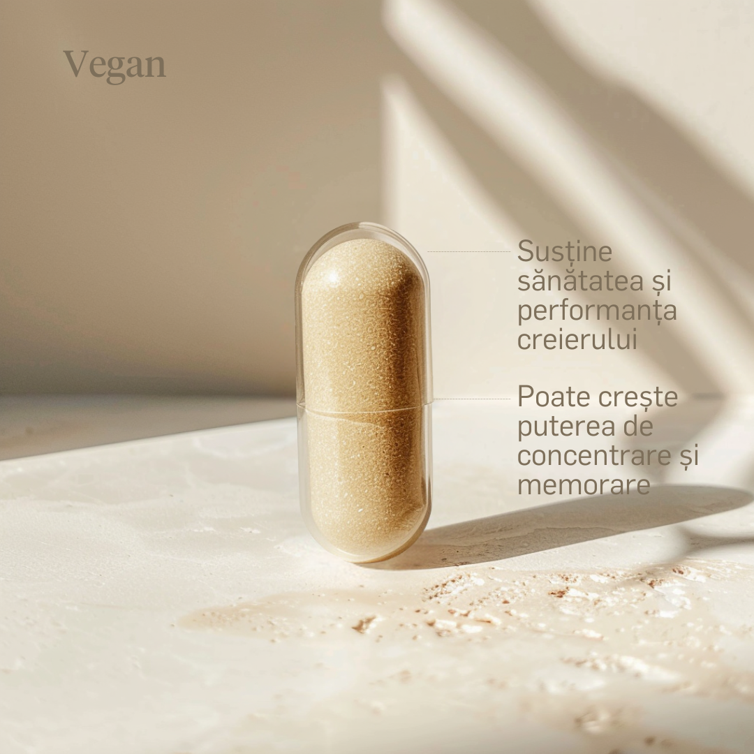 Lion's Mane 500mg (Coama leului)