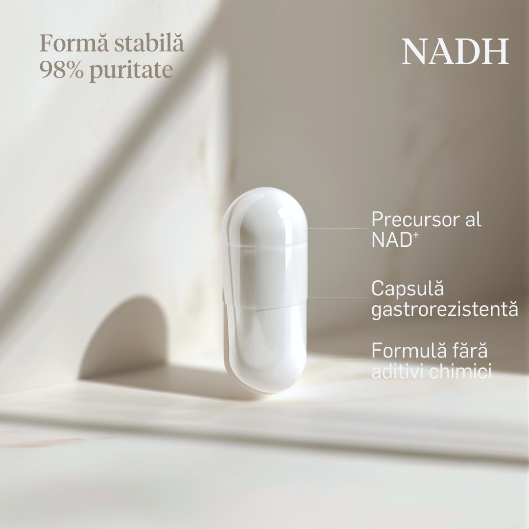 NADH 25mg - 98% puritate