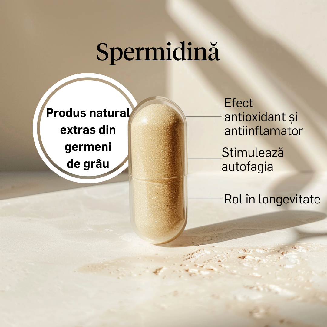 Spermidină 1mg