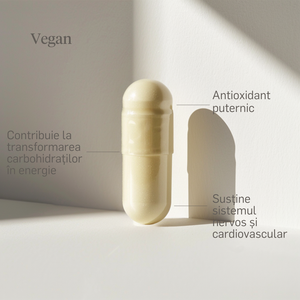 Acid Alfa Lipoic (ALA) 250mg