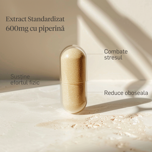 Ashwagandha KSM-66® 600mg cu Piperină