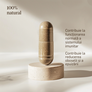 Fier supliment imunitate 2,4mg