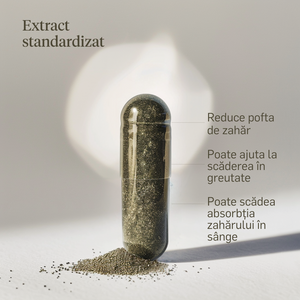 Gymnema extract 150mg