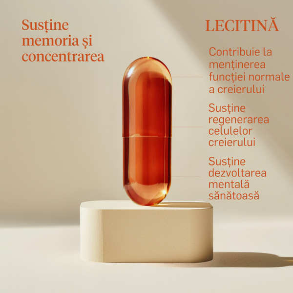 Lecitină - supliment pentru memorie | Zitamine.ro