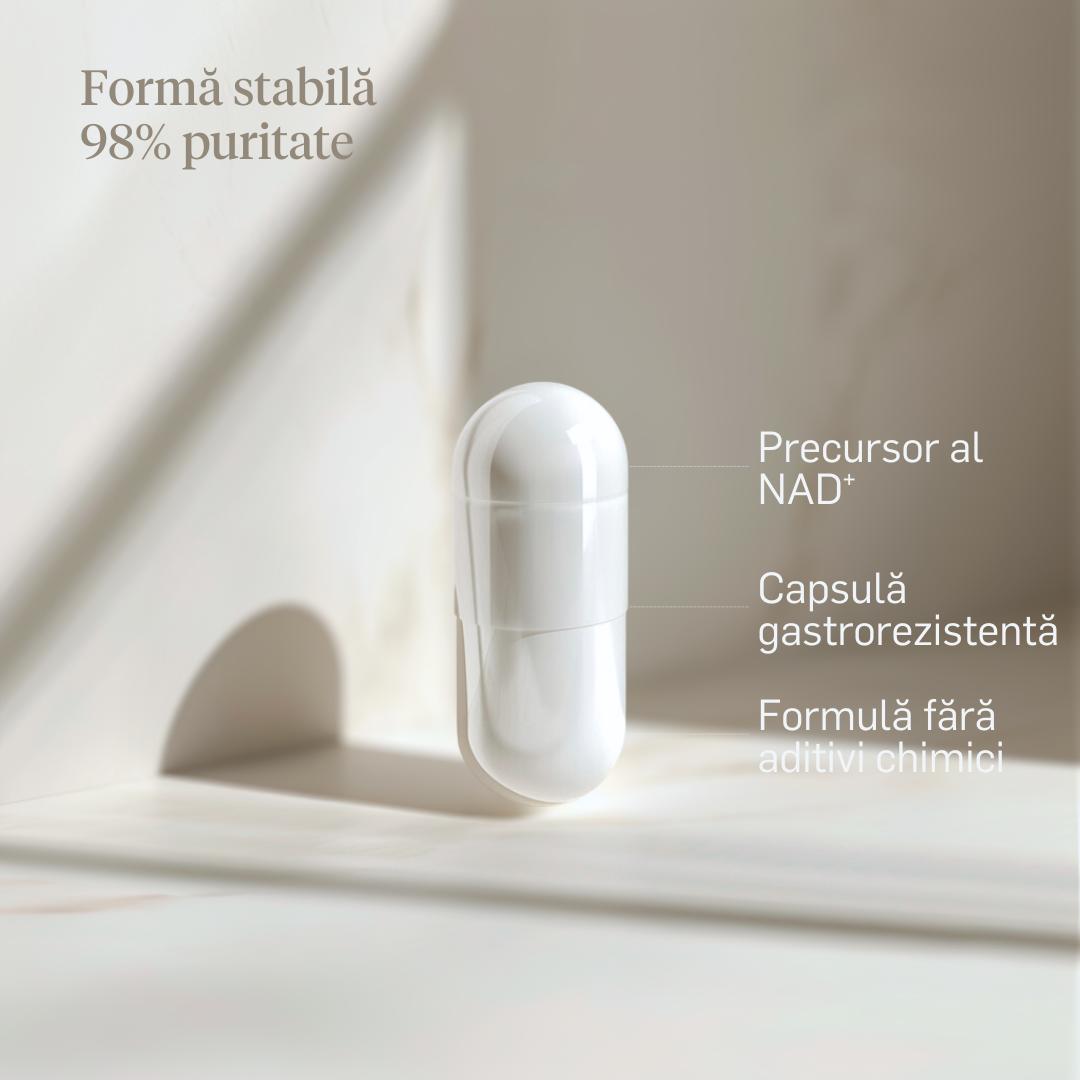 NADH 25mg - 98% puritate