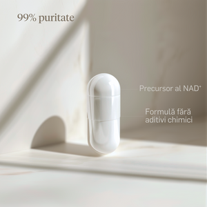 Niacinamide 500mg - 99% puritate