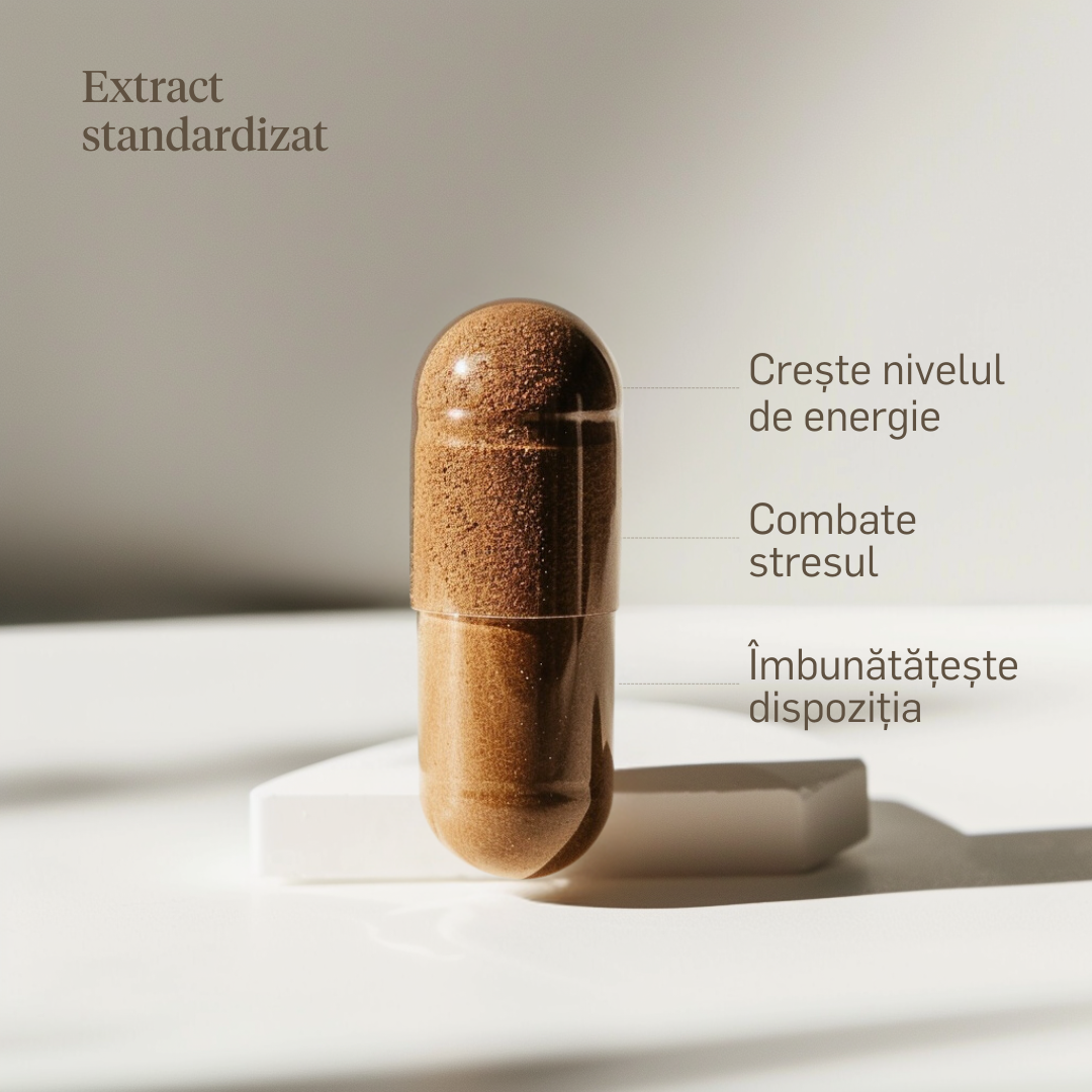 Rhodiola 500mg