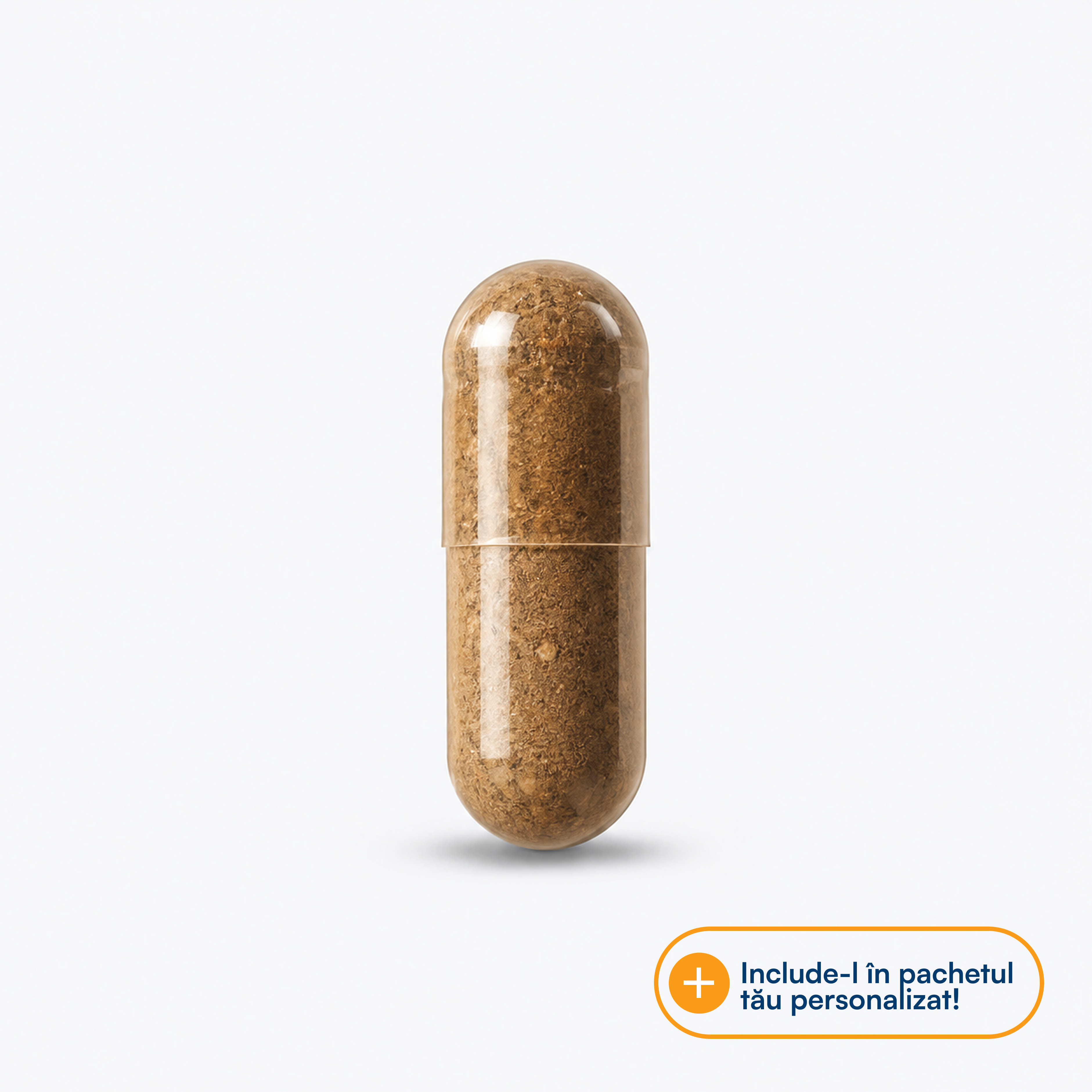 Lion's Mane 500 mg (Coama leului)