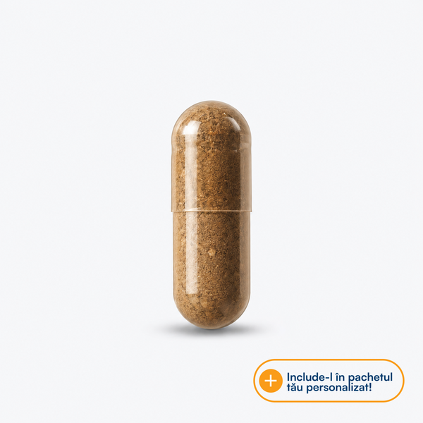 Lion's Mane 500 mg (Coama leului)