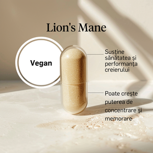 Lion's Mane 500mg (Coama leului)