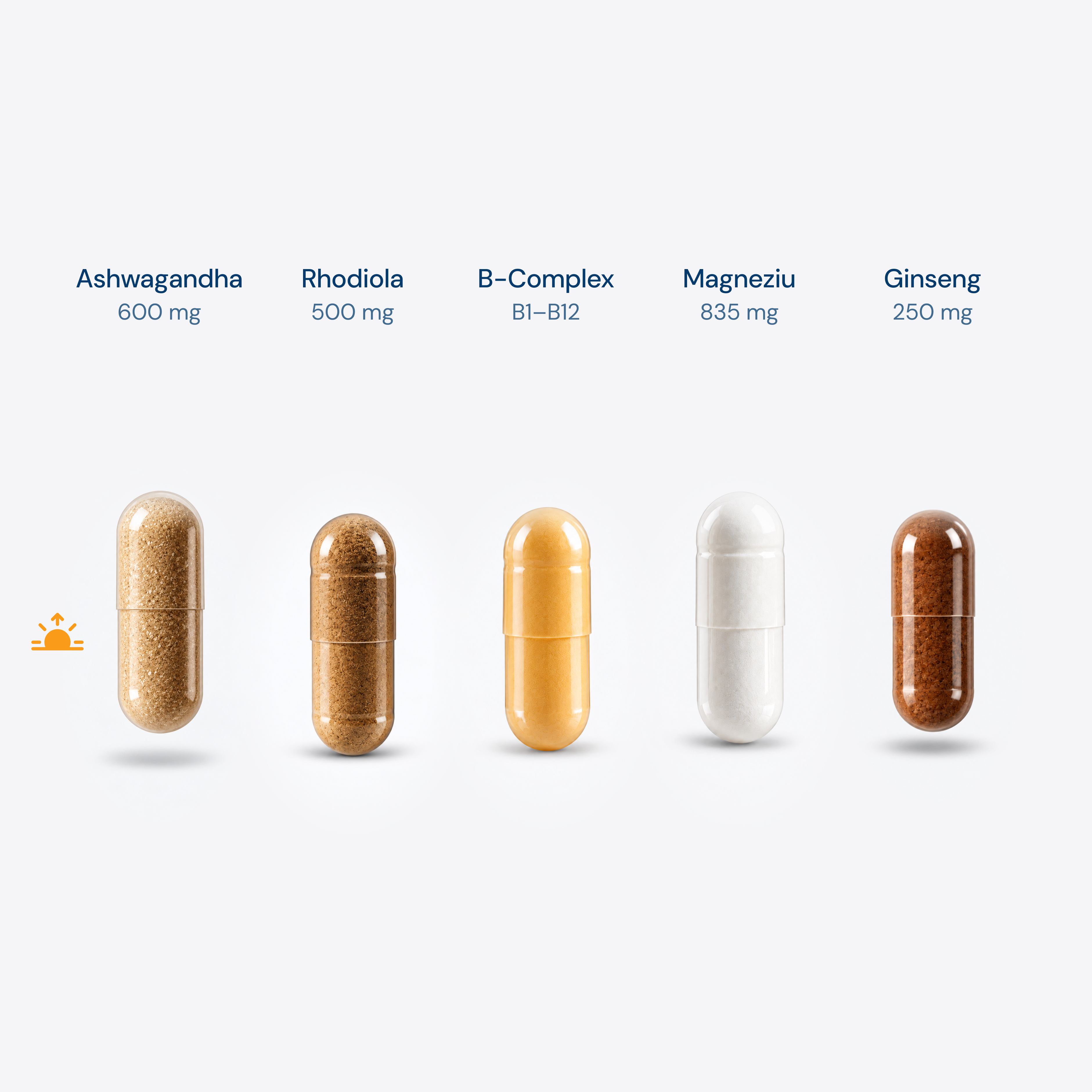 Protocol Anti-Oboseală • 5 suplimente/zi × 30 zile
