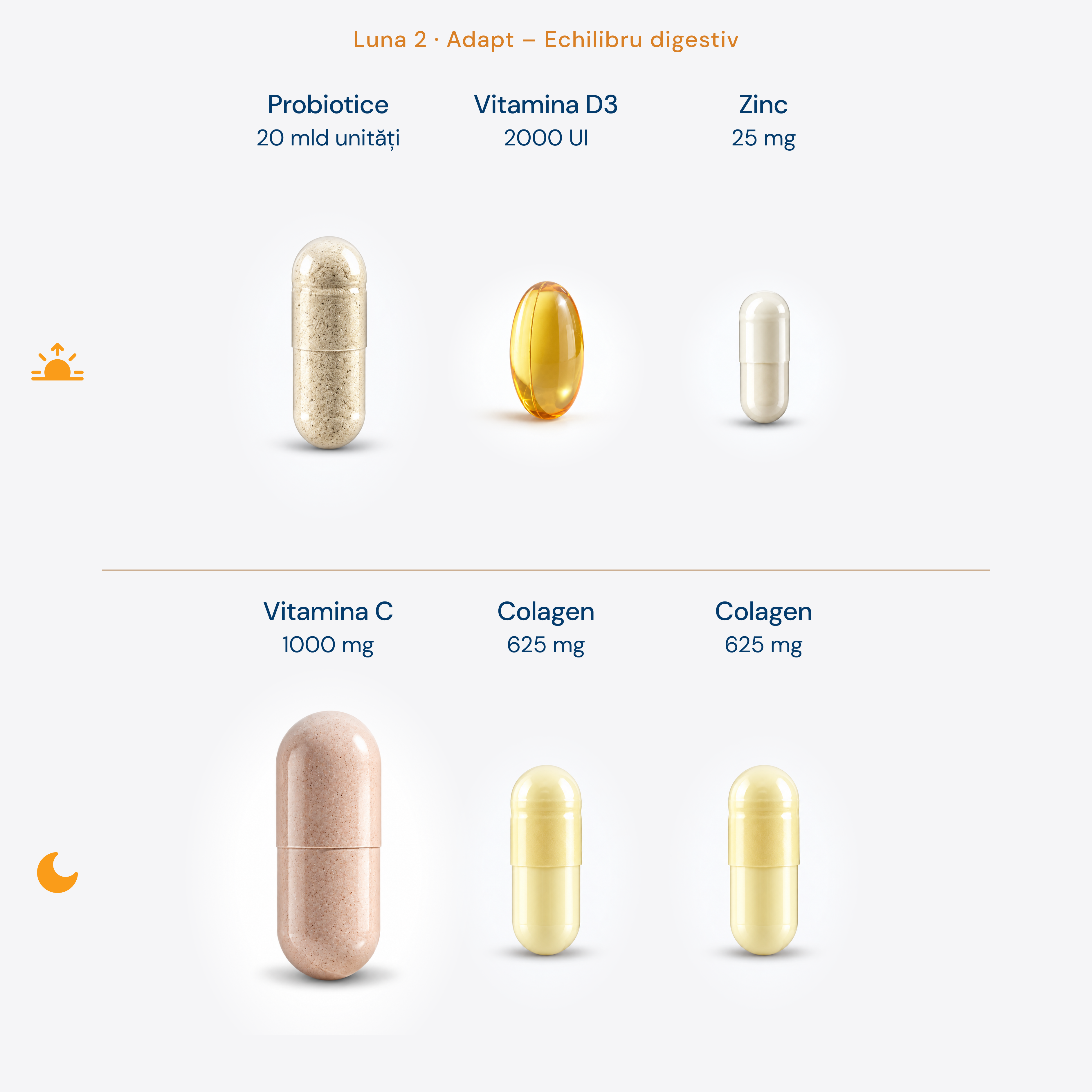 Protocol Echilibru Digestiv (sănătatea Intestinului) • Rețetă dinamică, optimizată lunar • 180 zile