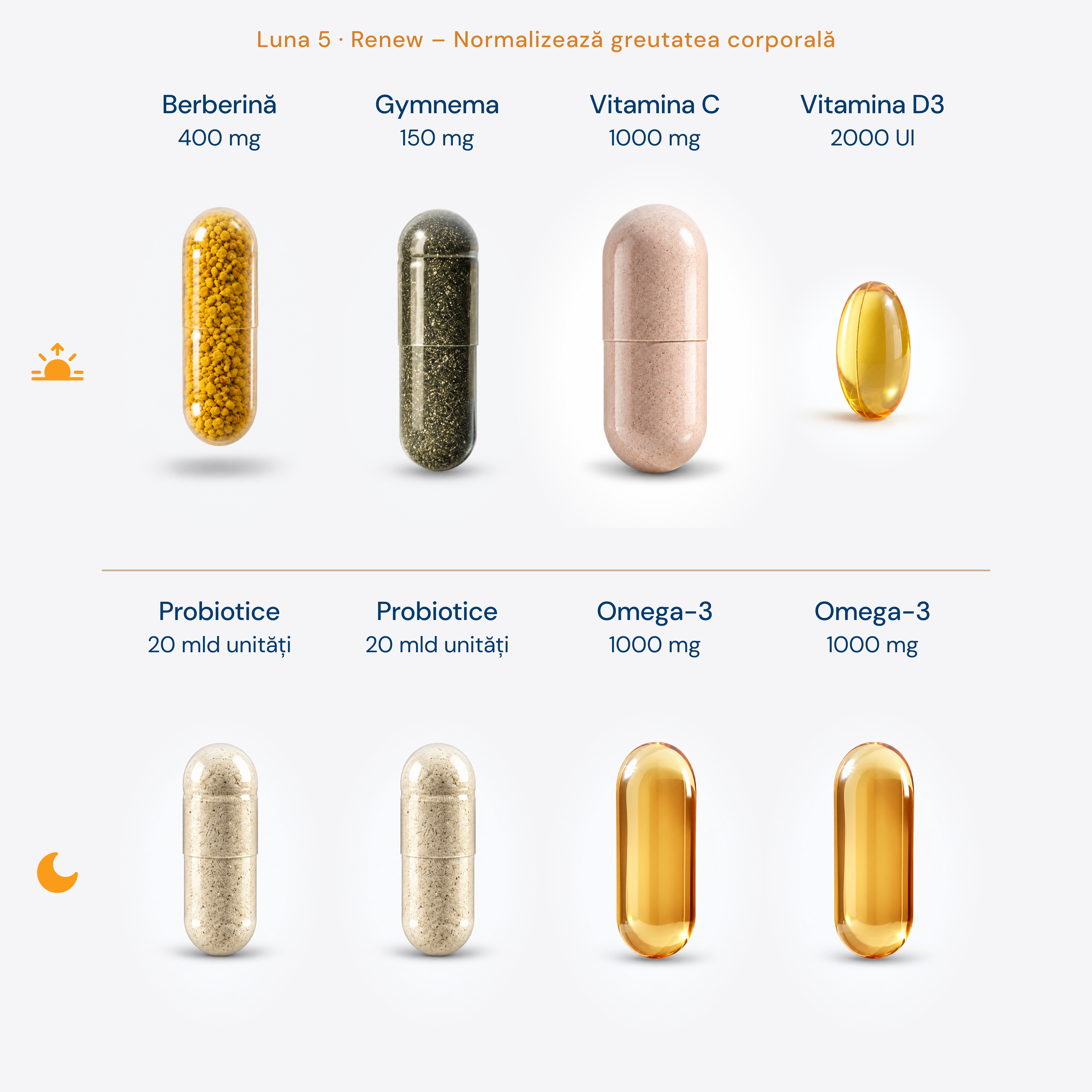 Protocol Echilibru Digestiv (sănătatea Intestinului) • Rețetă dinamică, optimizată lunar • 180 zile