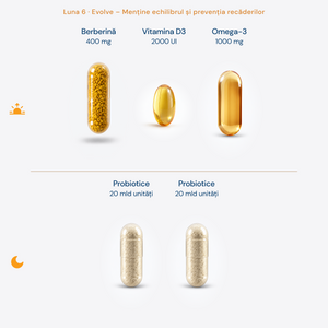 Protocol Echilibru Digestiv (sănătatea Intestinului) • Rețetă dinamică, optimizată lunar • 180 zile