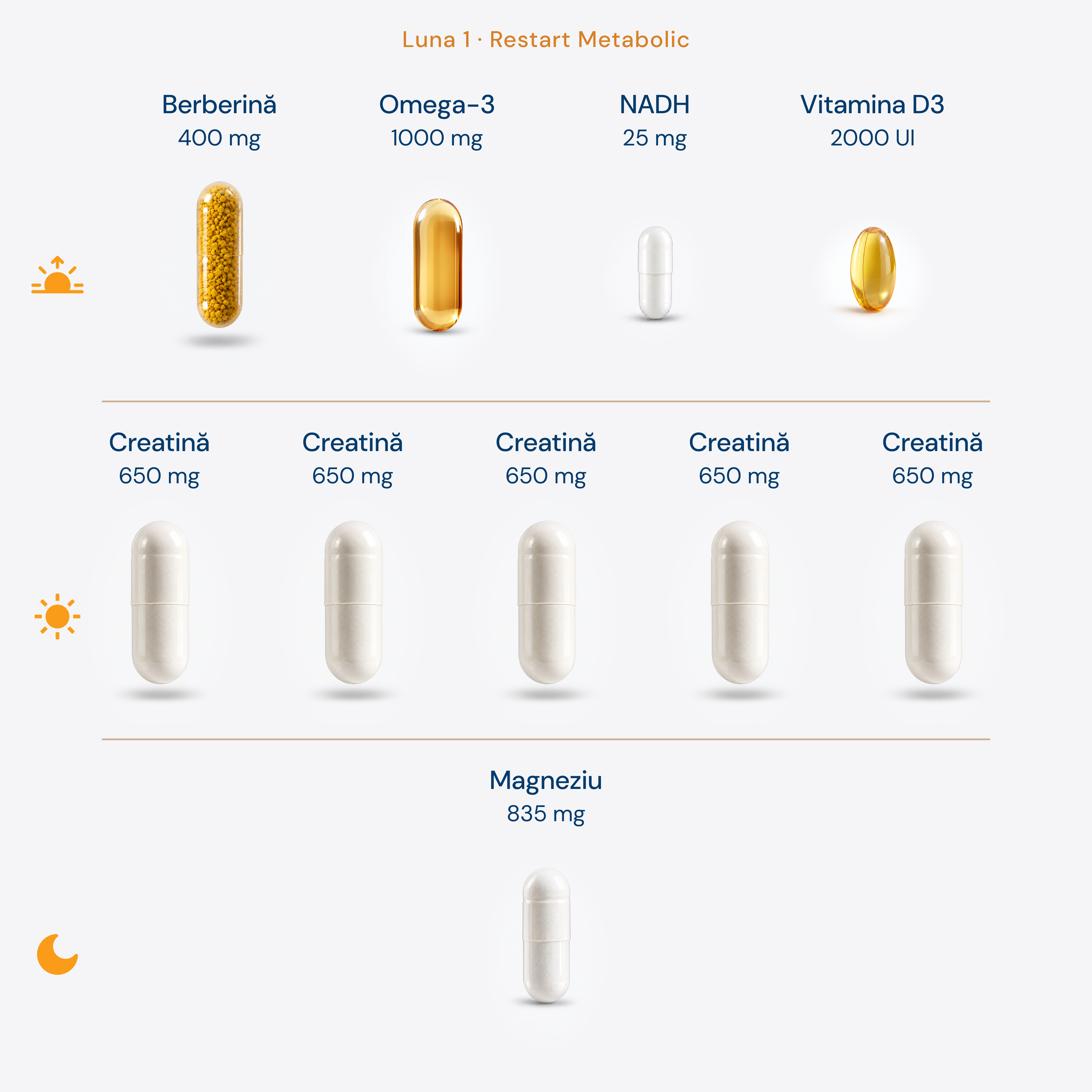 Protocol Fitness + Creatina 6 Luni • Rețetă dinamică, optimizată lunar × 180 zile