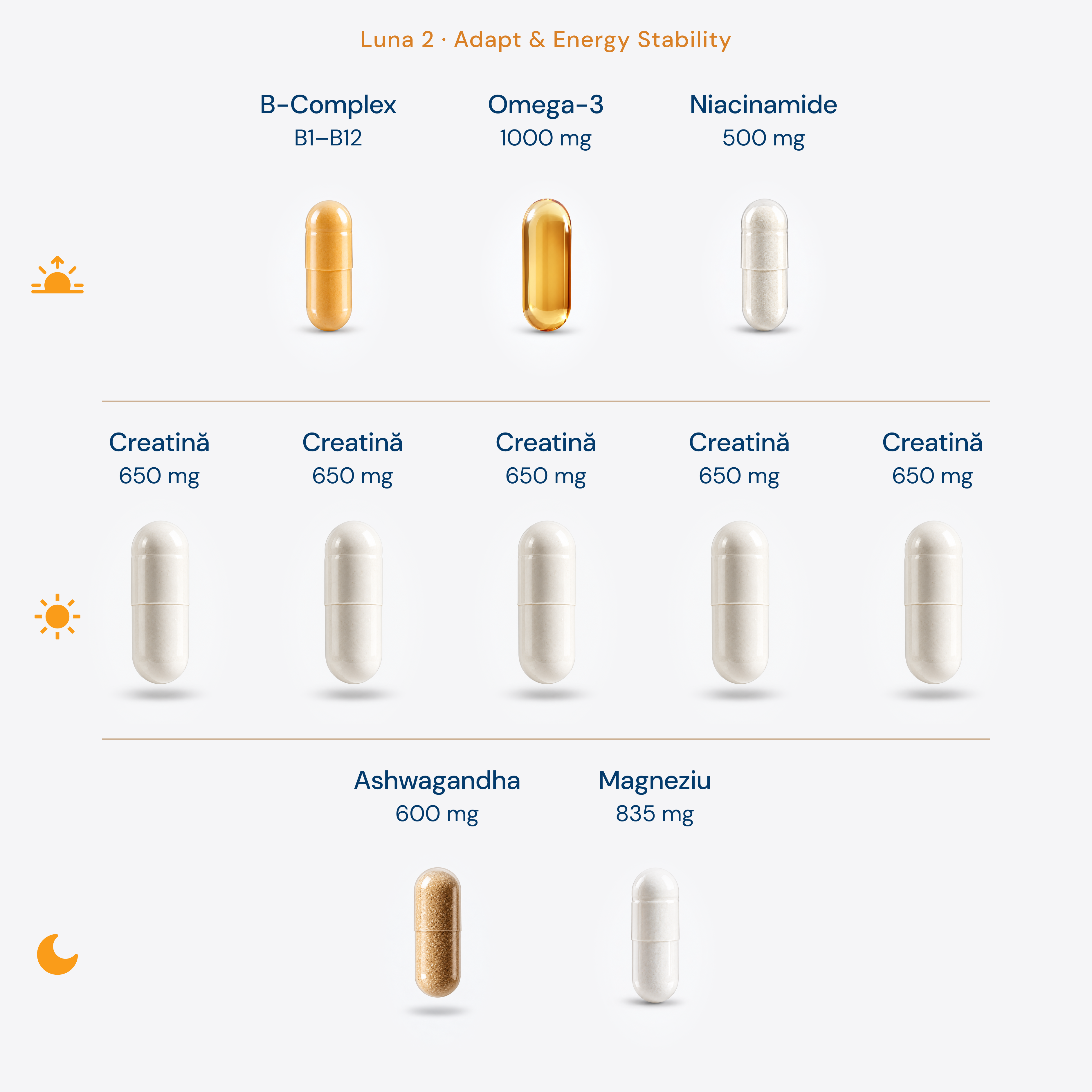 Protocol Fitness + Creatina 6 Luni • Rețetă dinamică, optimizată lunar × 180 zile