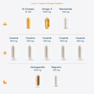 Protocol Fitness + Creatina 6 Luni • Rețetă dinamică, optimizată lunar × 180 zile
