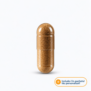 Rhodiola 500 mg
