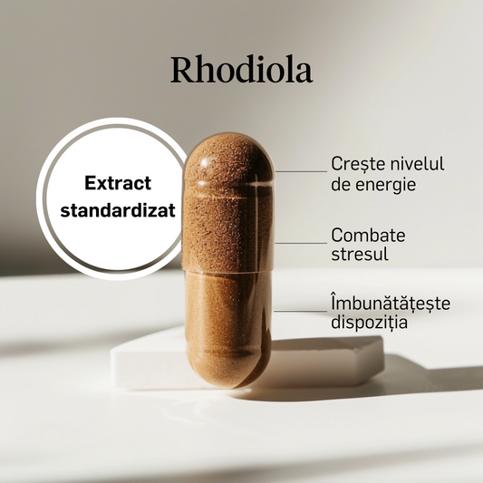 Rhodiola 500 mg